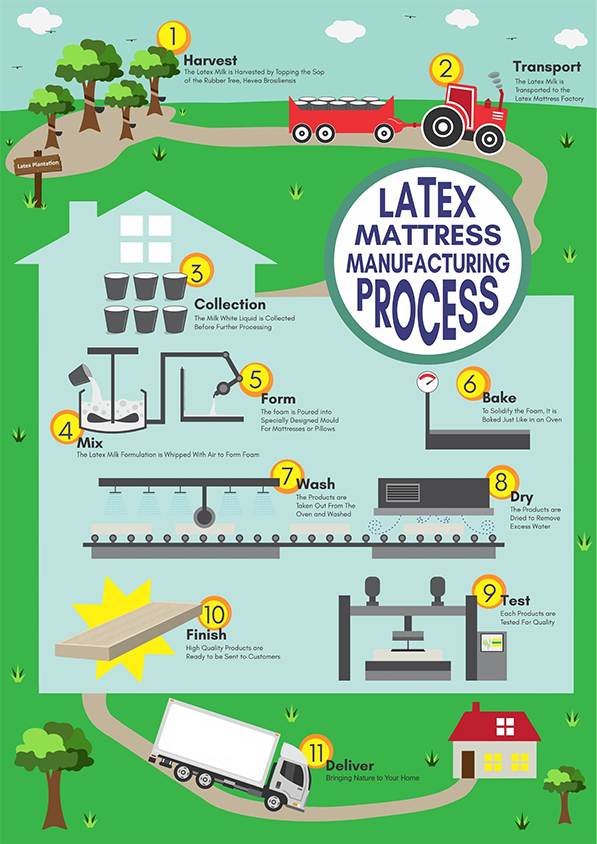 Natrual Latex Mattress Manufacturing Process