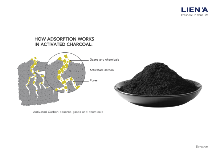 Activated Charcoal adsorption functions illustration